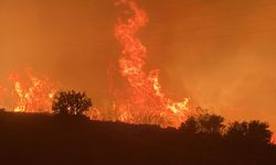 Mersin’deki orman yangını D-400 karayoluna ulaştı, yol kapatıldı