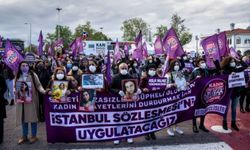 İstanbul Sözleşmesi'nden Çekilme, Kadına Şiddetin Etkisi
