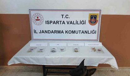 Isparta’da uyuşturucu operasyonlarında 15 kişi tutuklandı