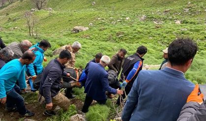 Siirt’te yaban bitkisi toplarken kayalıklardan düşen 60 yaşındaki adam öldü