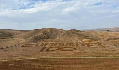 Merzifonlu çiftçi tarlasına traktörle "Cumhuriyet" yazdı